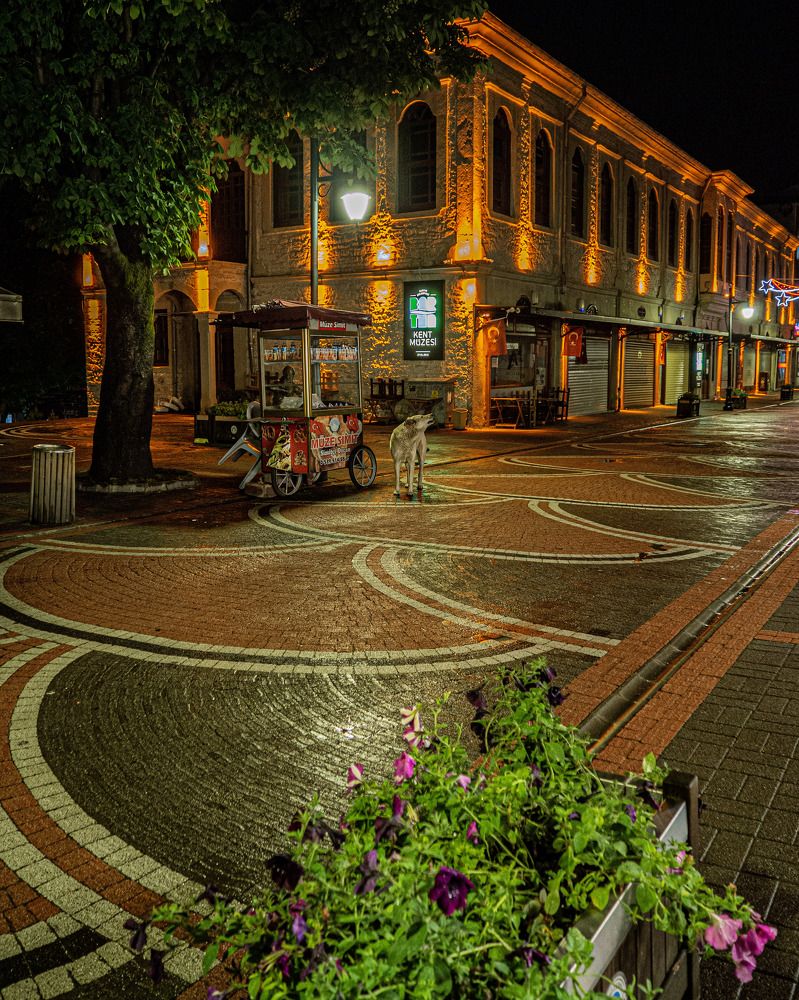 Фотография автора NECMETTİN SOBUTAY