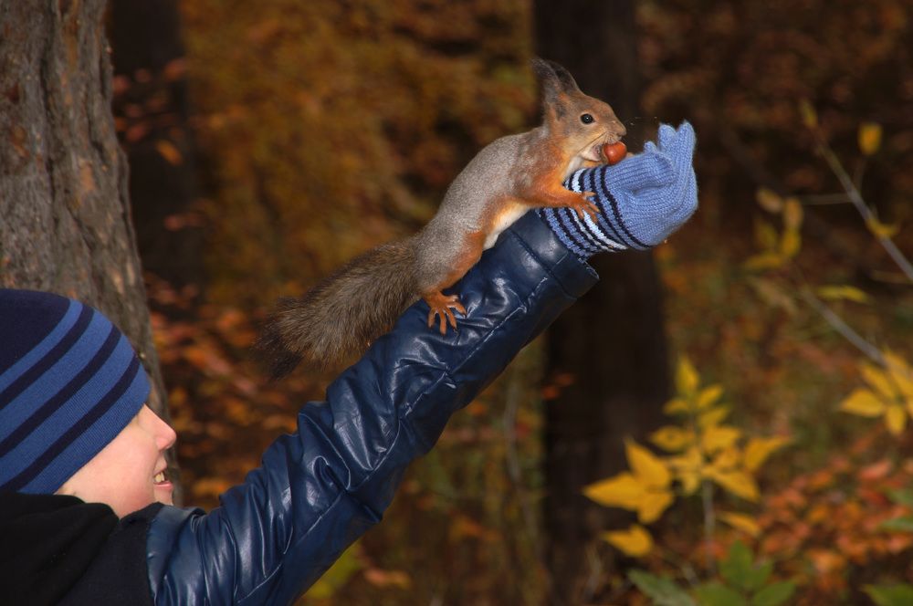 Photograph by Николай Семенов