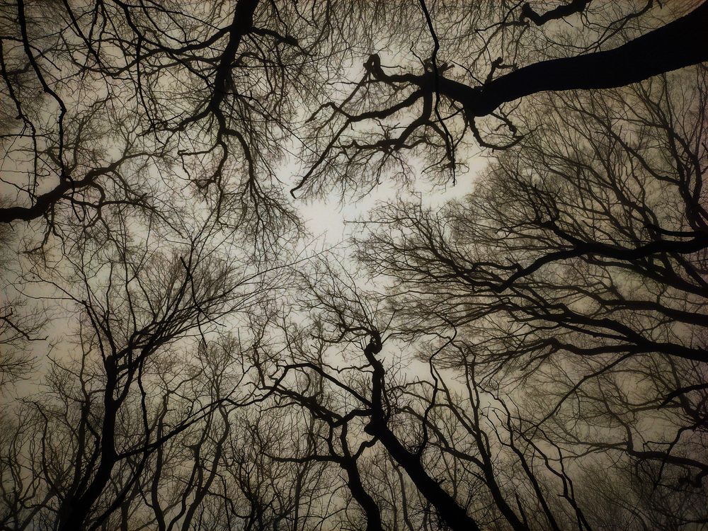 Photograph by Виталий Маслов