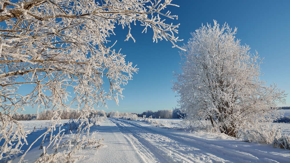 Photograph by Илья Лисаускас