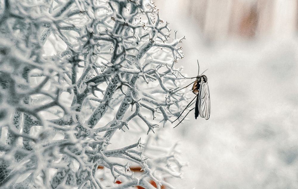 Фотография автора Мария