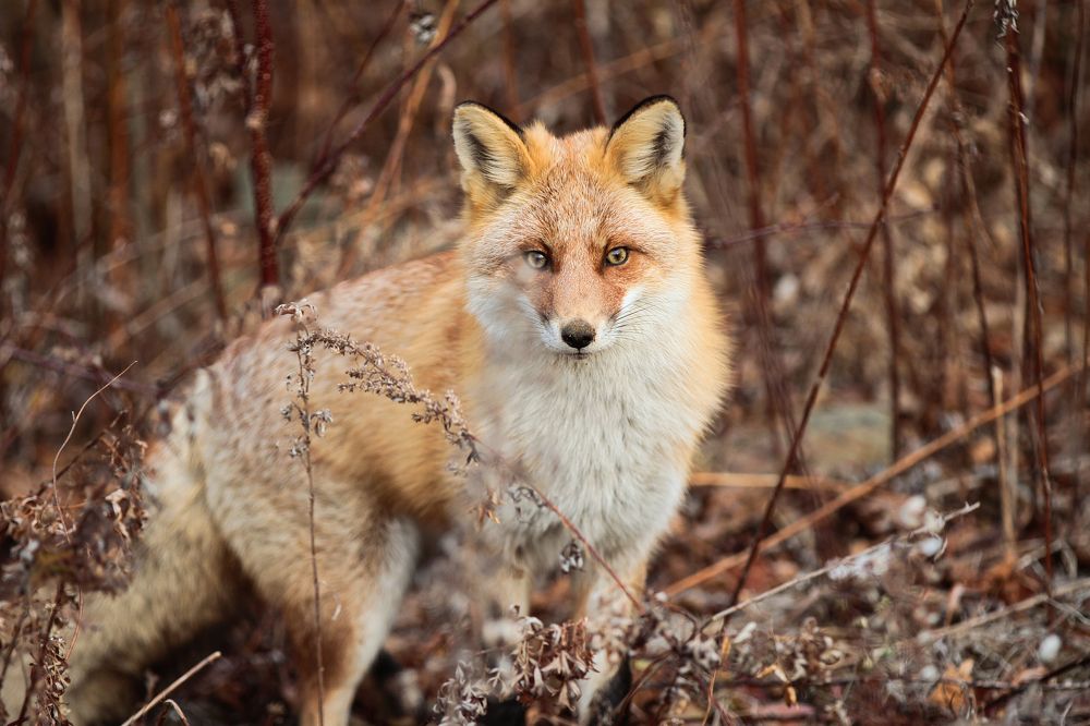 Photograph by Мария Маркина