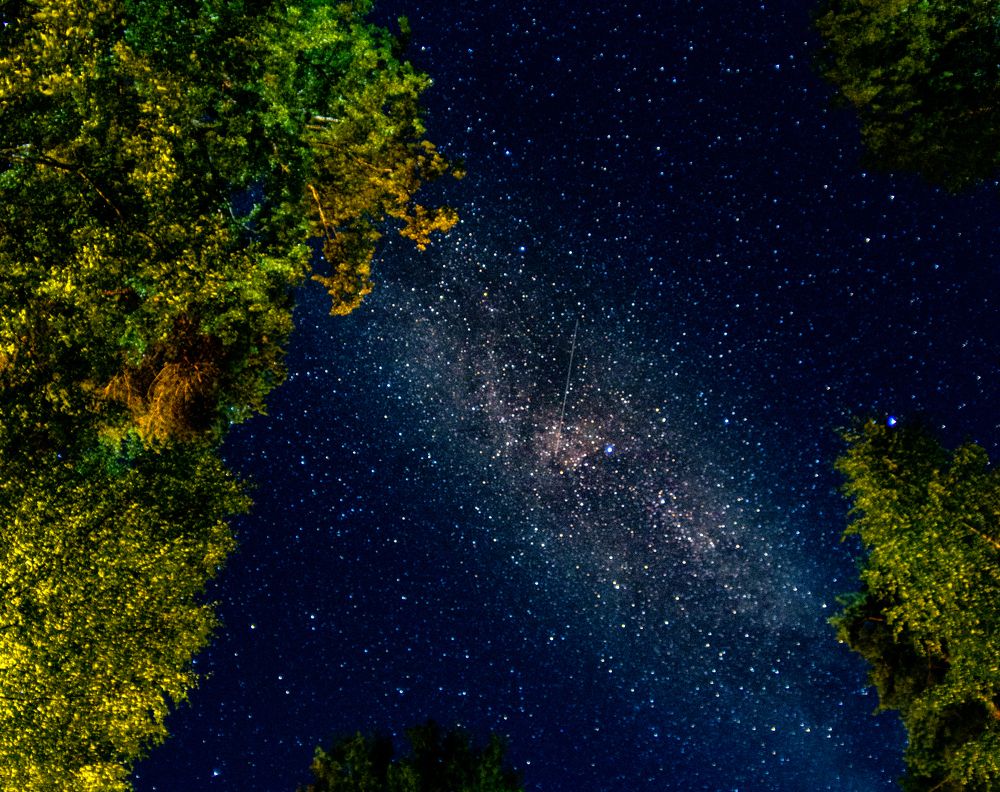 Photograph by Юлия Шурандина