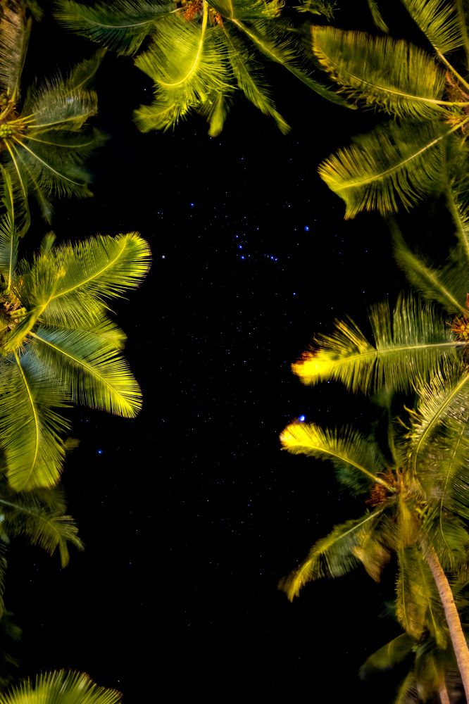 Photograph by Юлия Шурандина