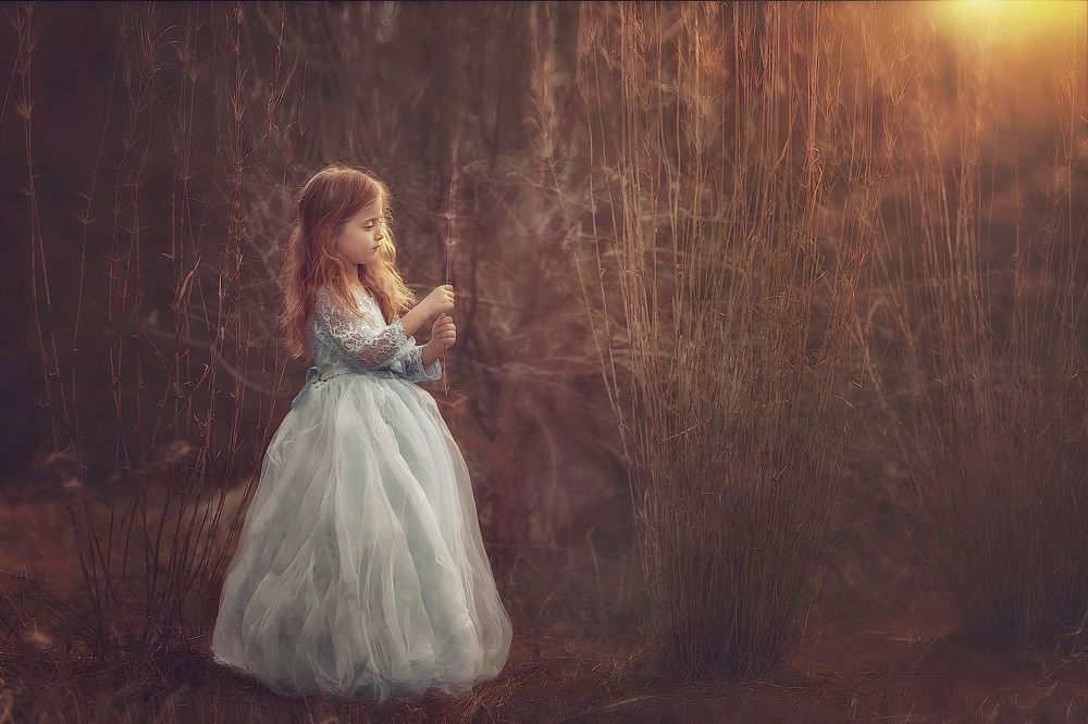 Фотография автора Сергей Гринис