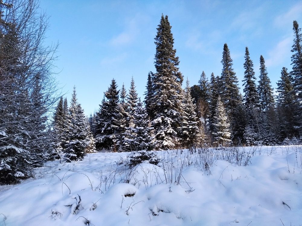 Photograph by Анатолий Майдуров