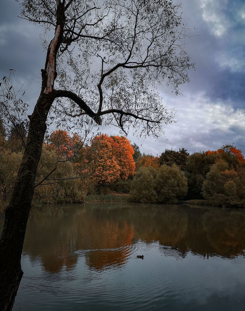 Photograph by Камила Гюндогар