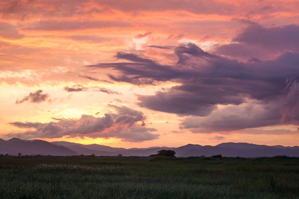 Photograph by Елена Кондратьева