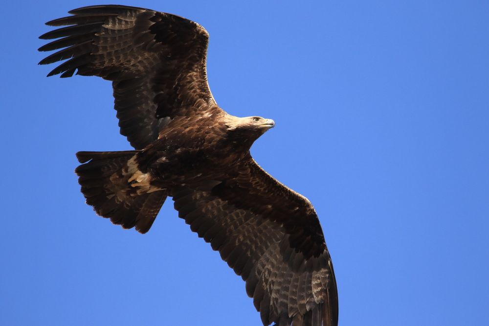 Photograph by Татьяна Нурхайдарова