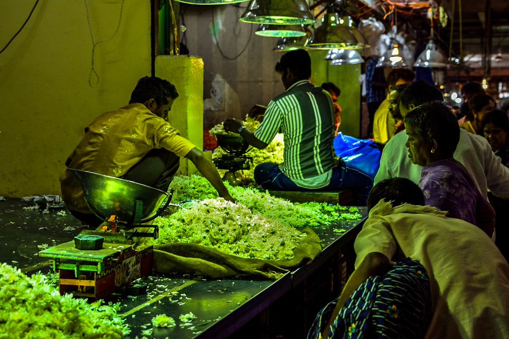 Photograph by Basavaraj M