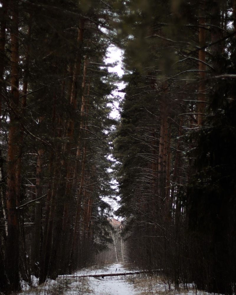 Photograph by Victoria Makarova