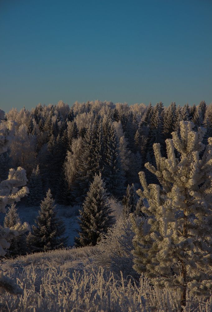 Photograph by Марина Копылова