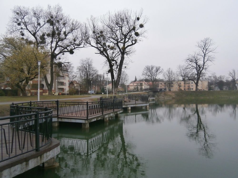 Photograph by Антон