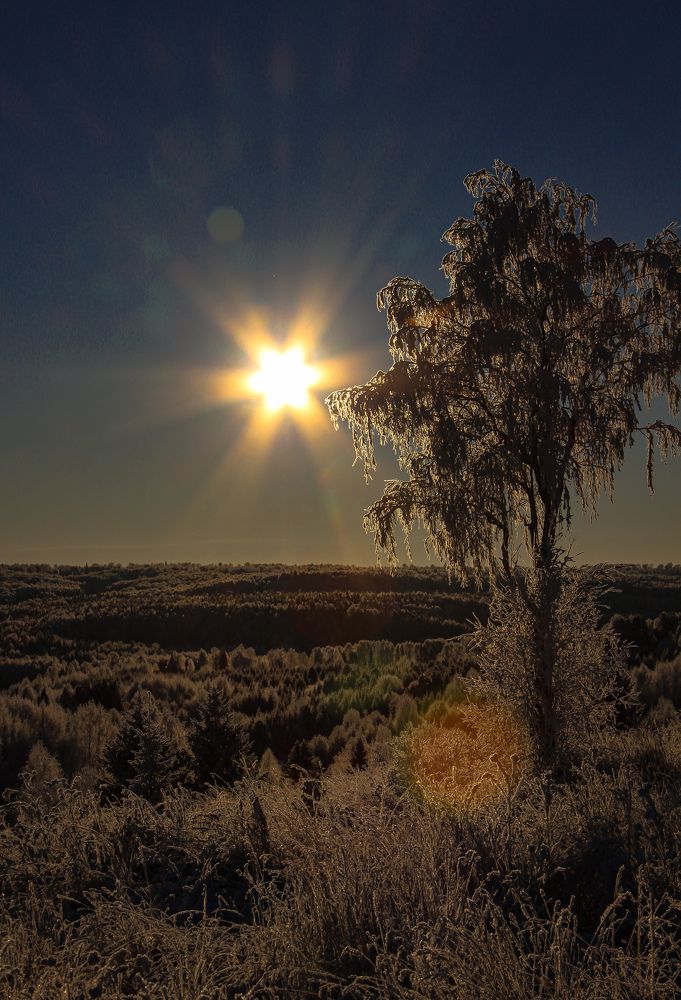 Photograph by Марина Копылова