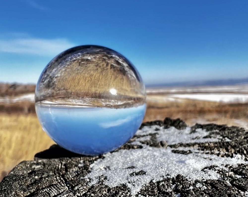 Photograph by Елена Мизина