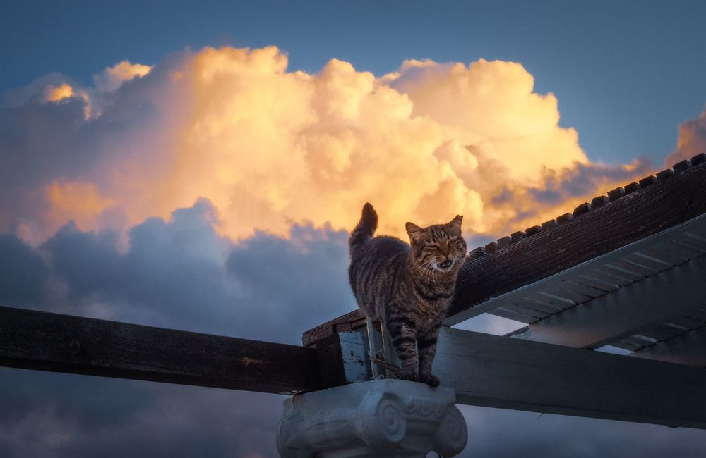 descended from heaven