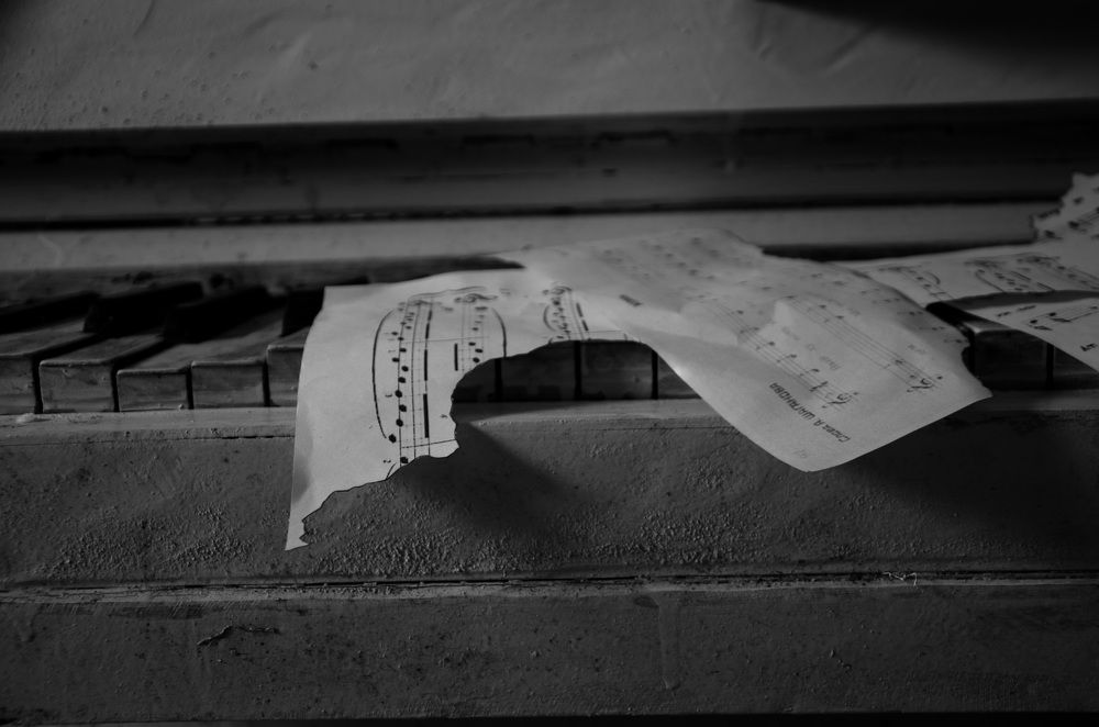 Photograph by Екатерина Сочнева