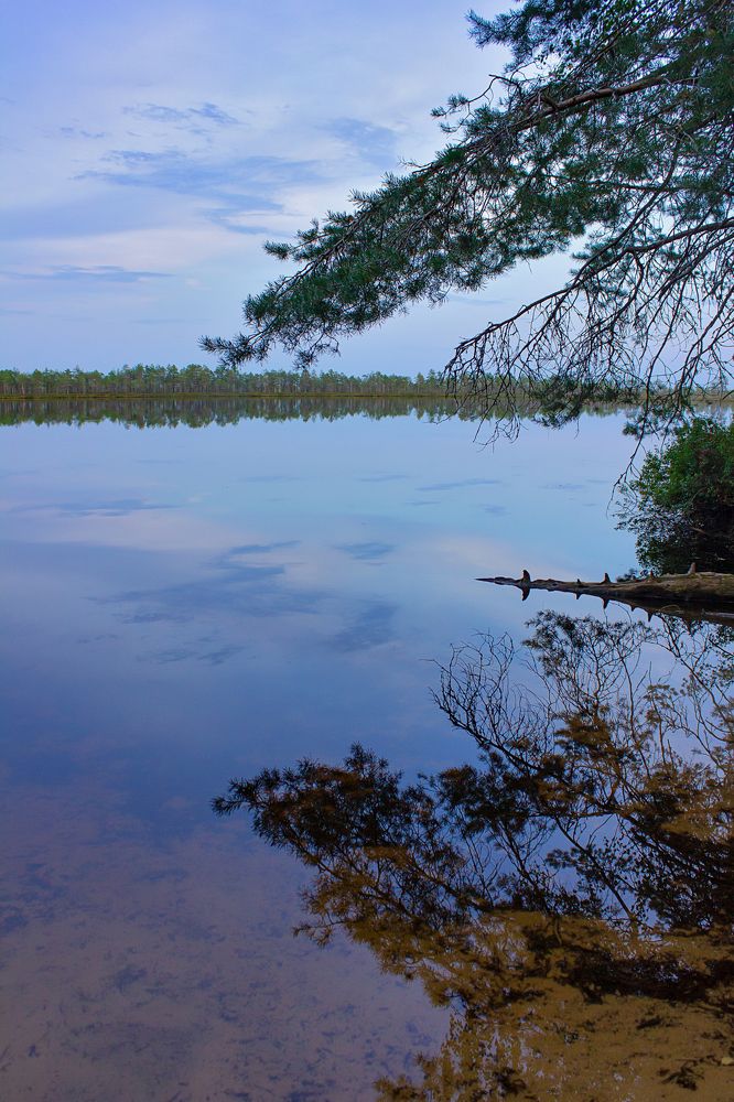 Photograph by Татьяна Казакова