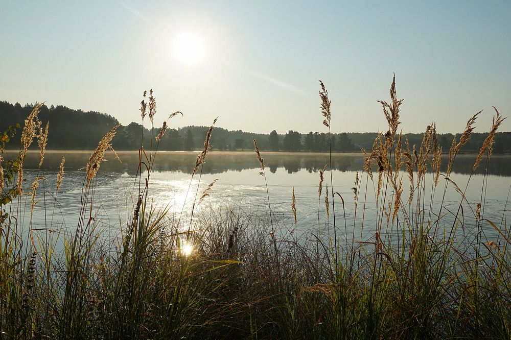 Photograph by Галина Кан