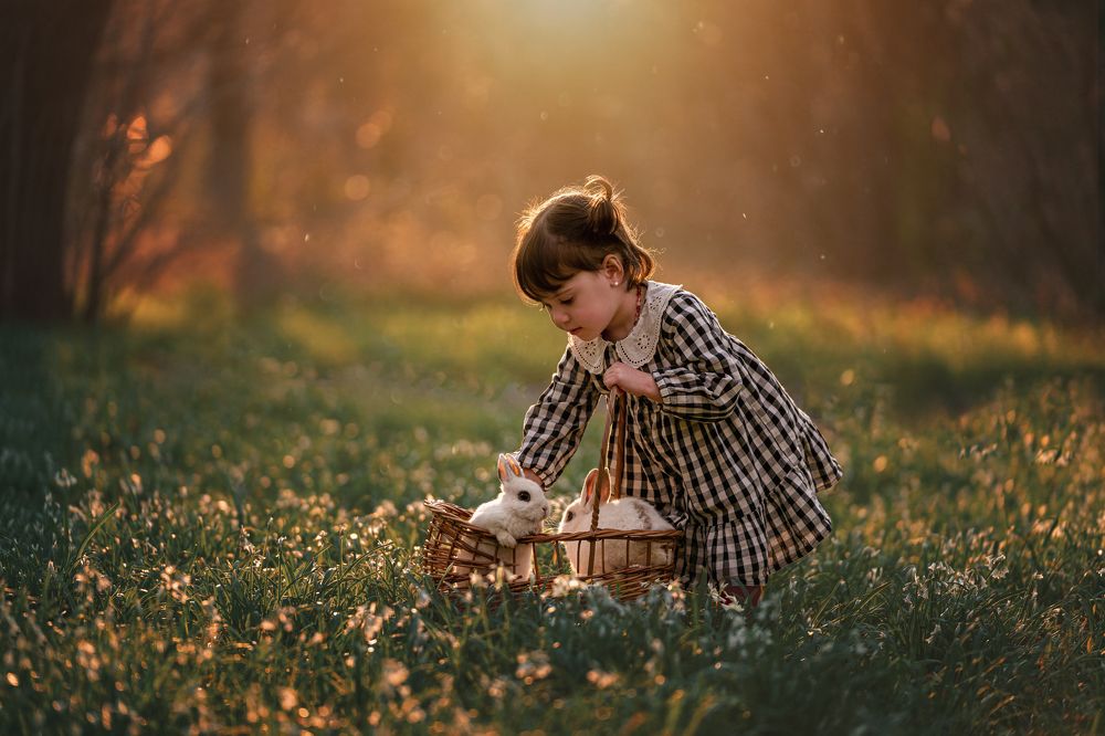 Photograph by Amalia Zilio