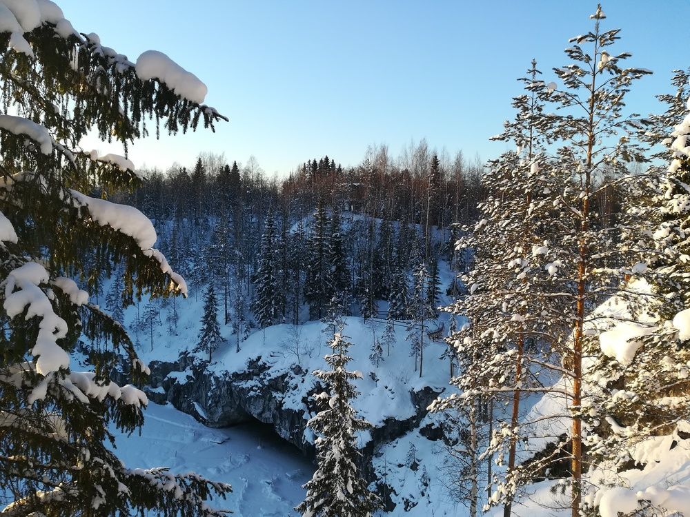 Photograph by Елизавета