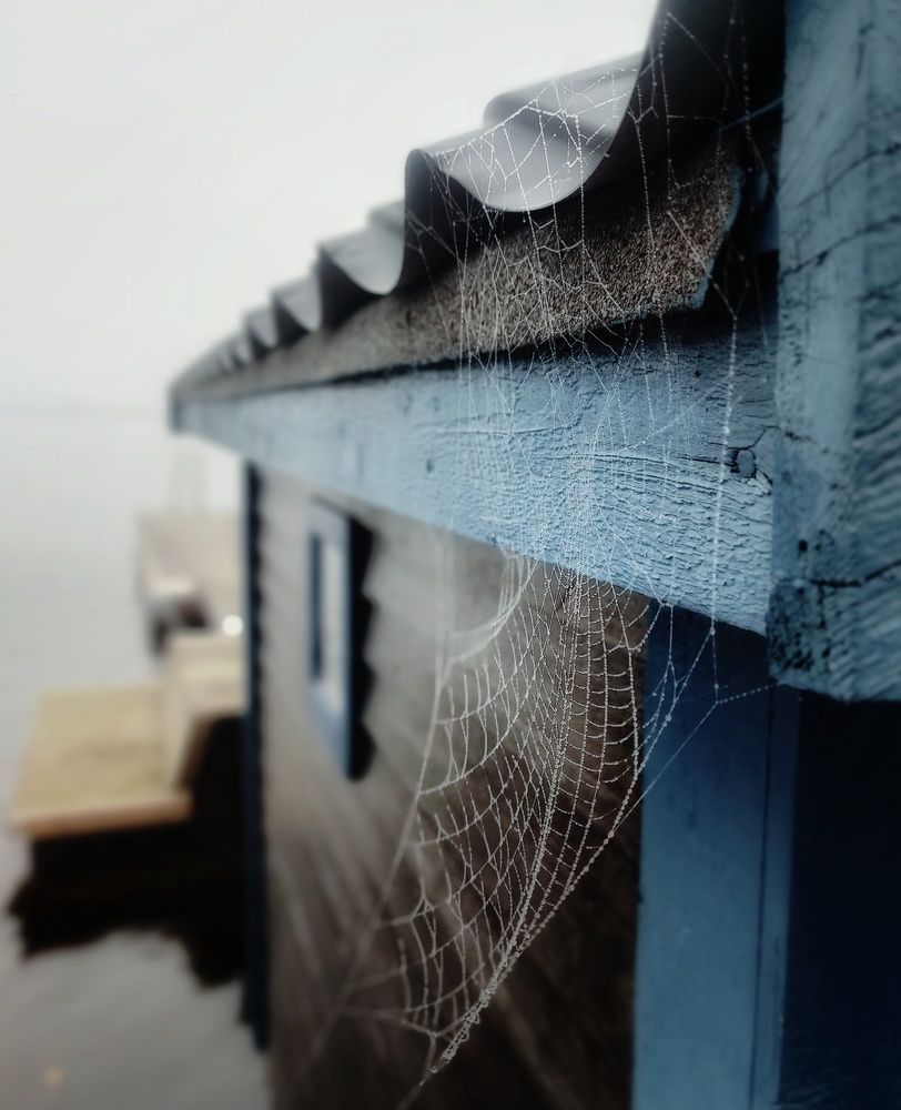 Фотография автора Alina Filimonova