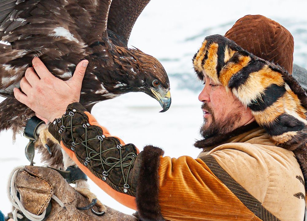 Фотография автора Renat Mansurov