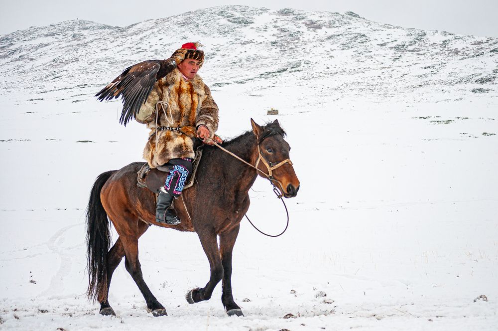 Фотография автора Renat Mansurov