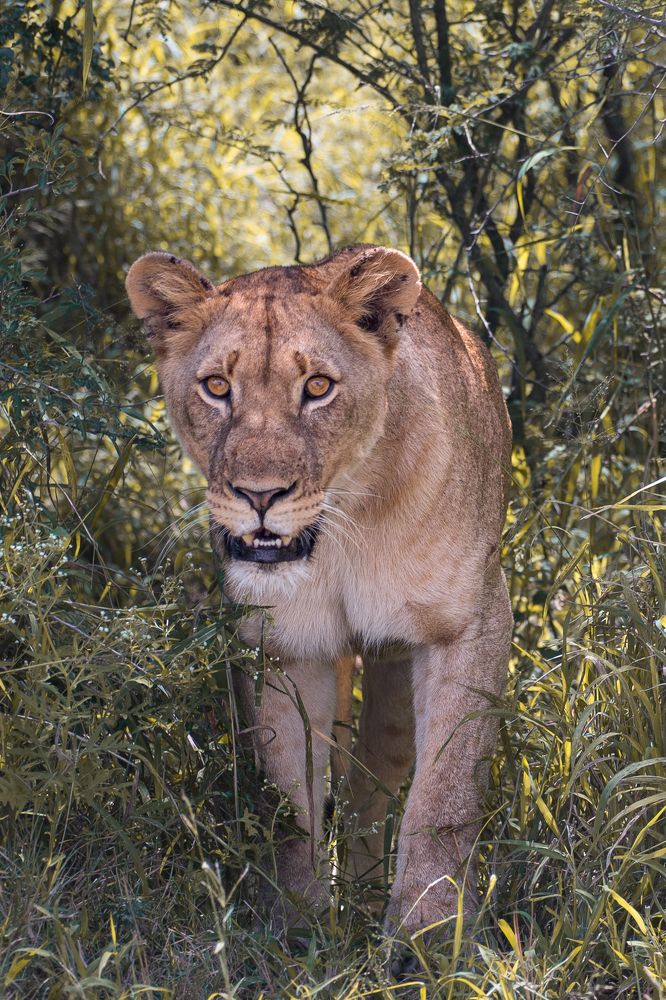 Photograph by Zandri Gillespie