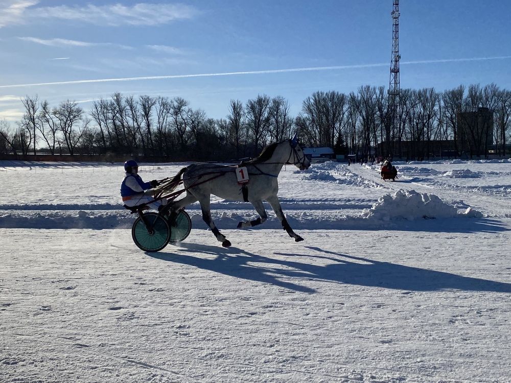 Photograph by Елена Гущина