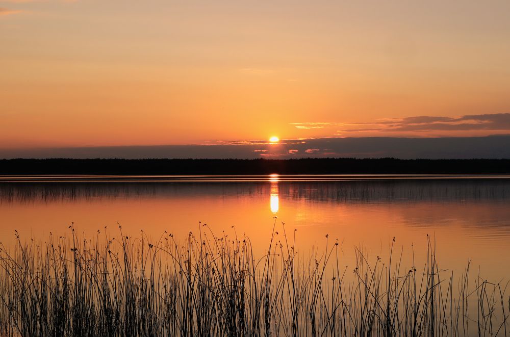 Photograph by Жанна