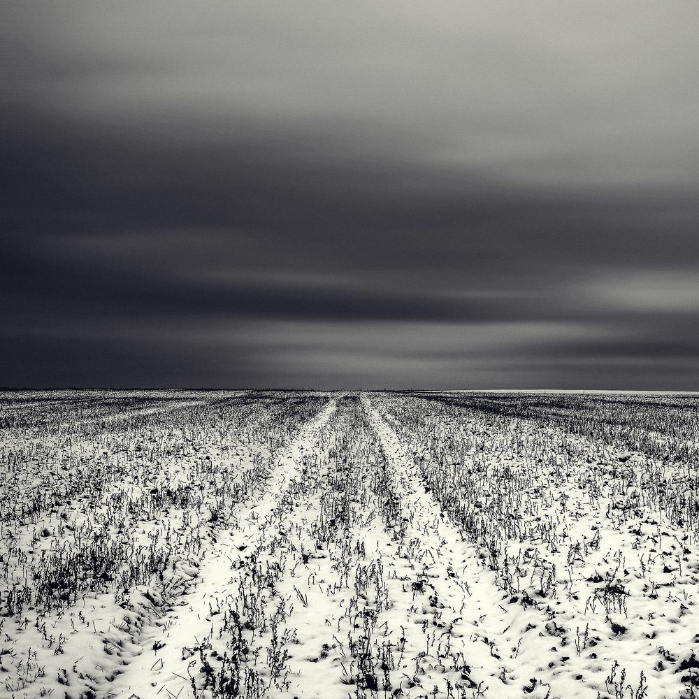 Photograph by Aliaksei Shandalin