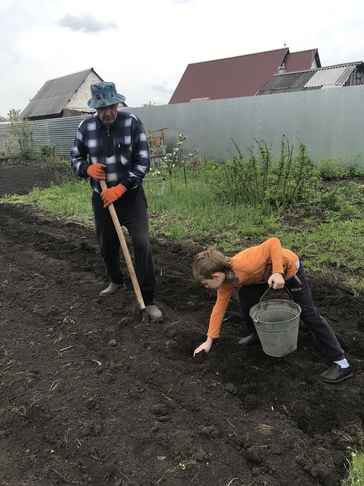 Photograph by Елена Гущина