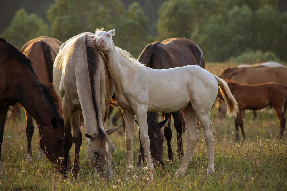 Photograph by Людмила Александровна