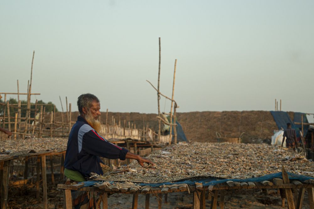 Photograph by Topu Saha