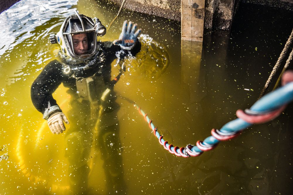 Photograph by Людмила Александровна