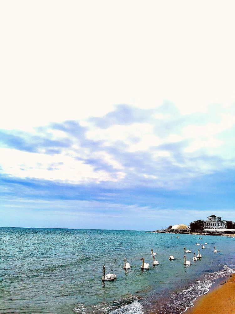 Фотография автора Андрей Богданов