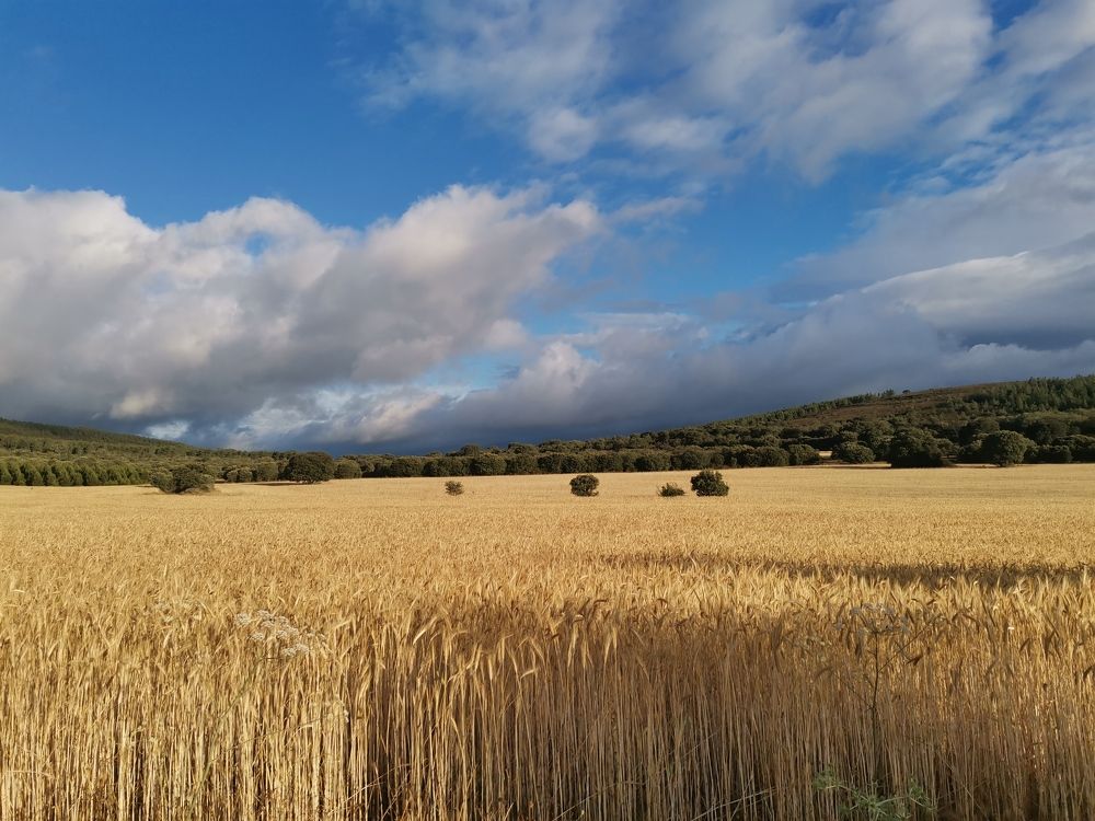 Photograph by Александр