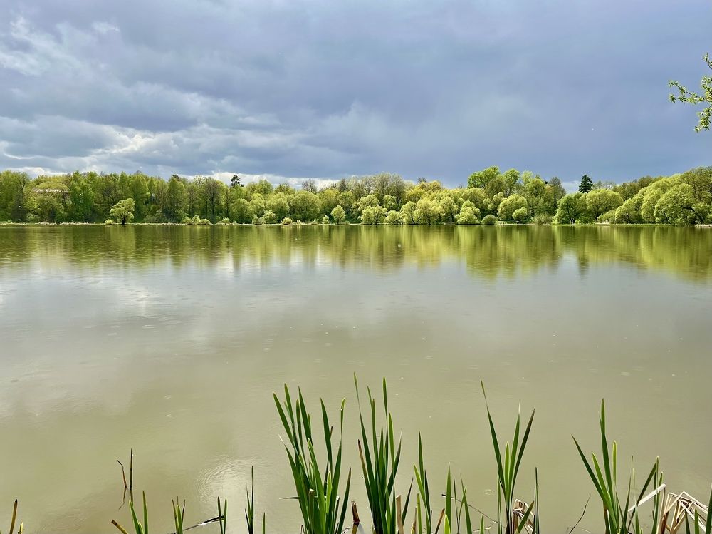 Photograph by Евгения Казакова