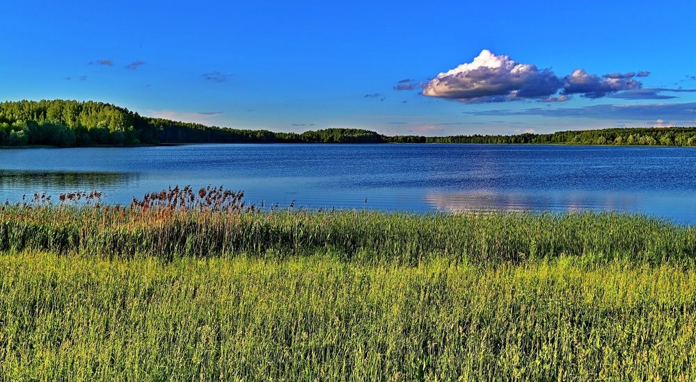 Photograph by Кузьмин Юрий