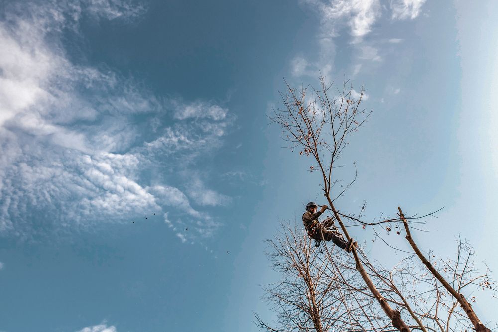 Photograph by Ольга Шацкая