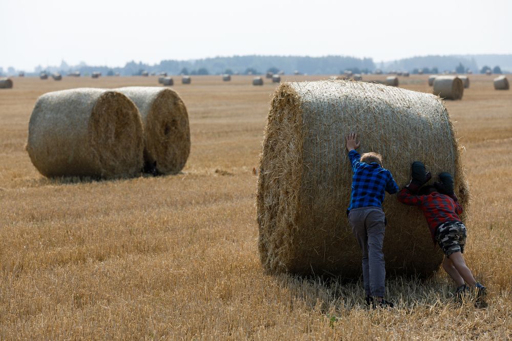 Photograph by Сергей Соколов