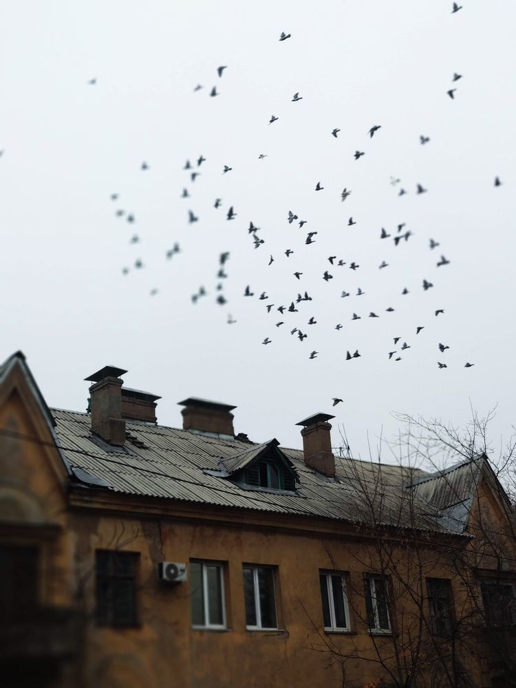 Photograph by Надежда Пидченко