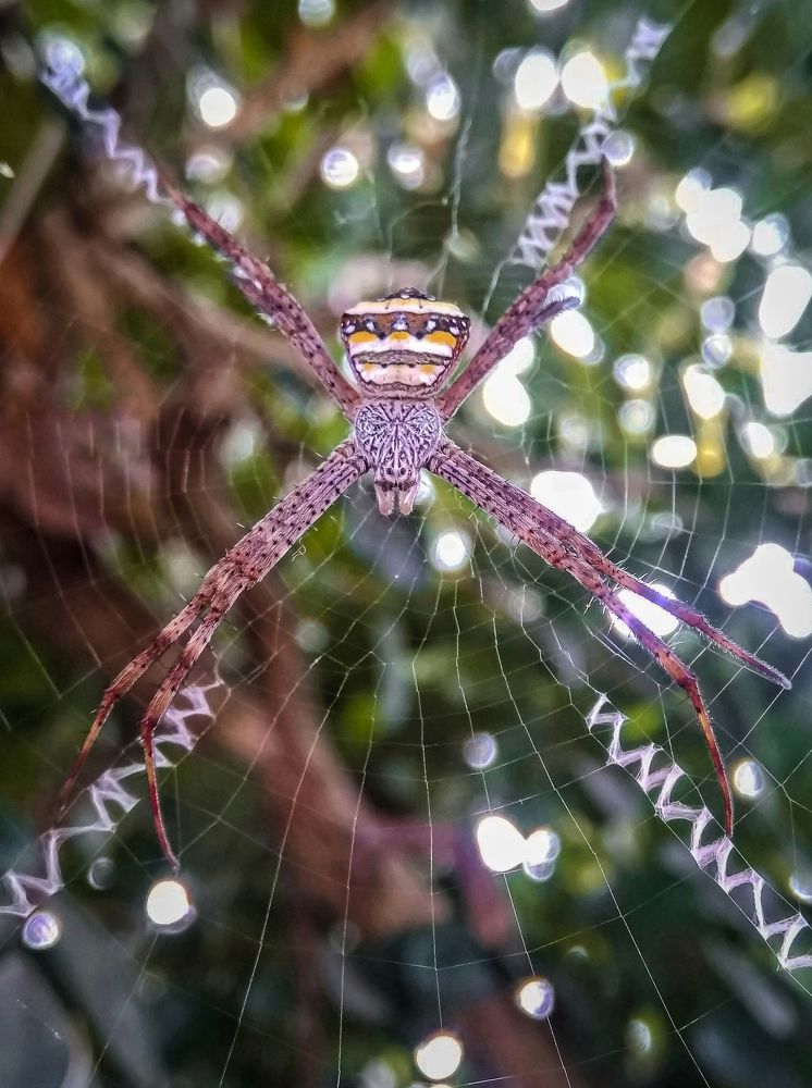 Photograph by Suparna Mohish