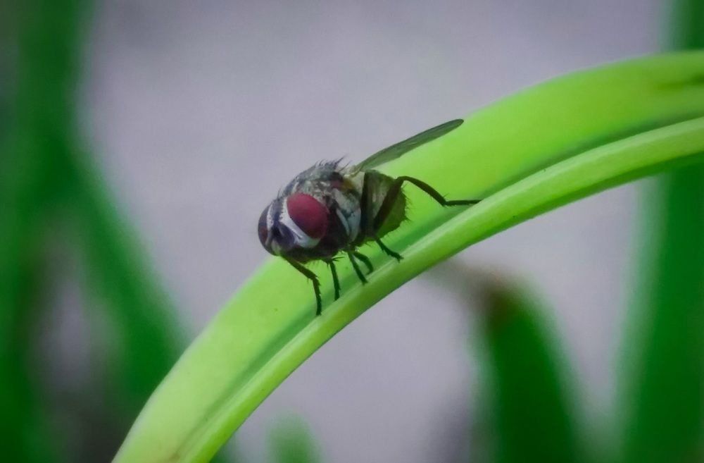 Photograph by Suparna Mohish