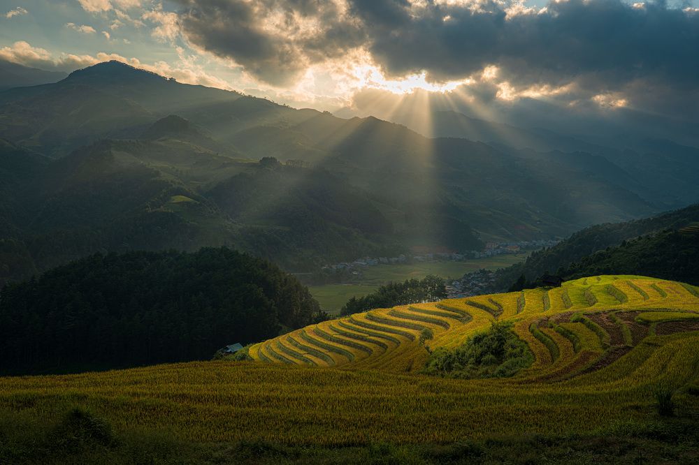 Photograph by Hanh P. T. Pham