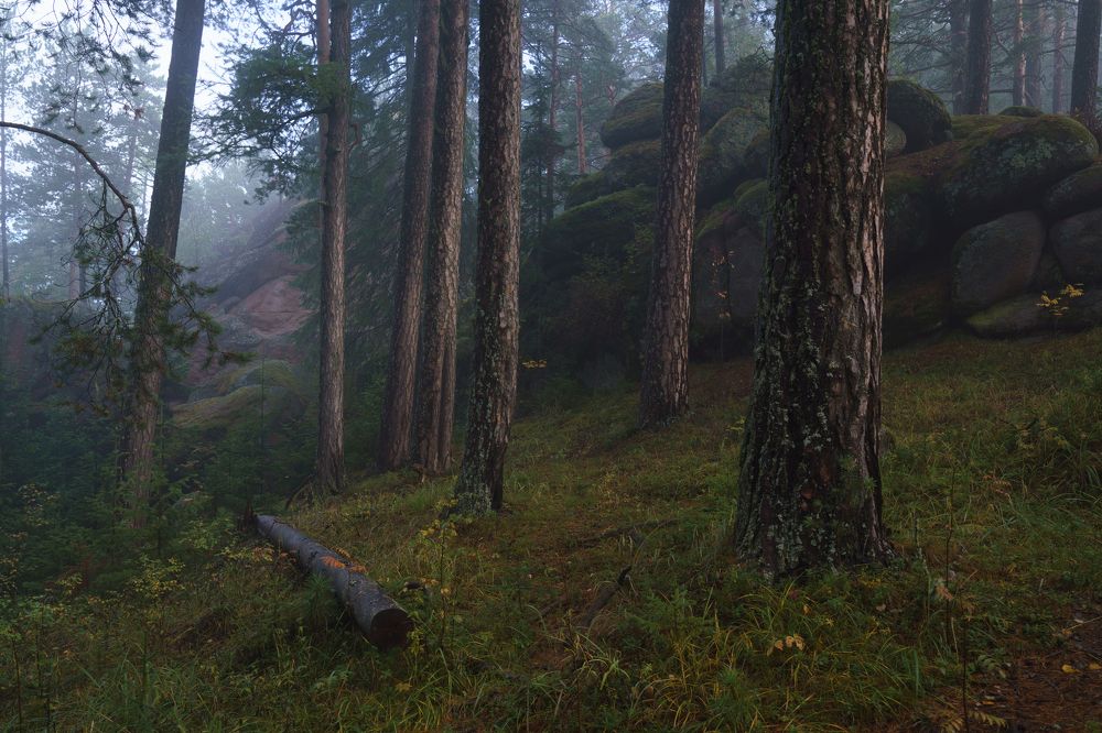 Photograph by Александр Нерозя