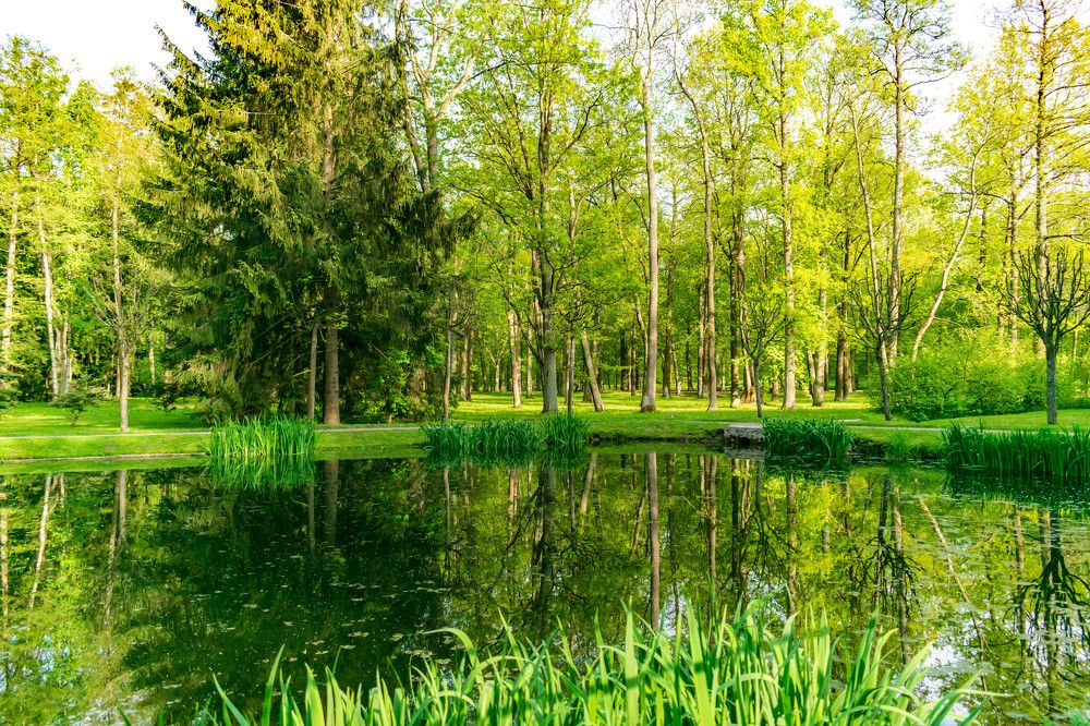 Photograph by Наталья Вялых