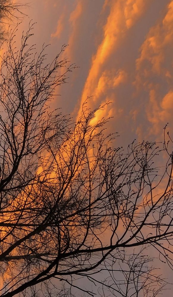 Photograph by Марина Георгиева