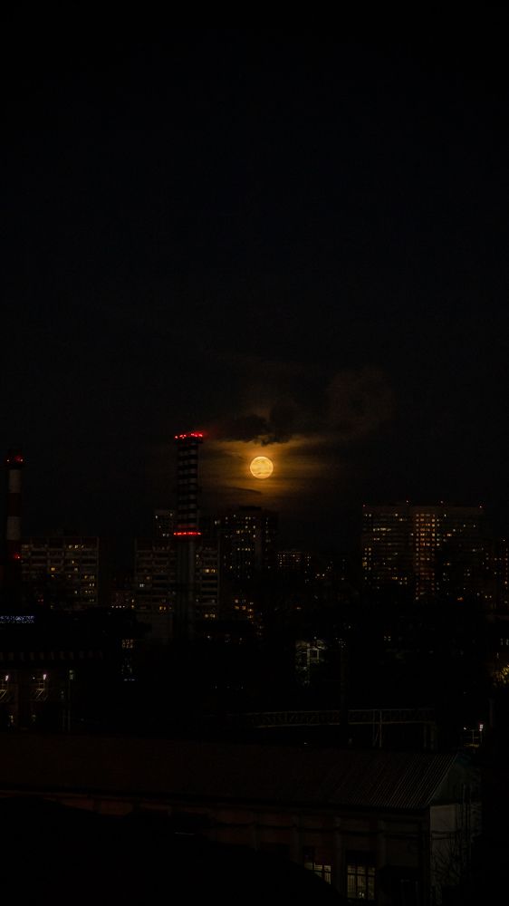 Photograph by Маргарита